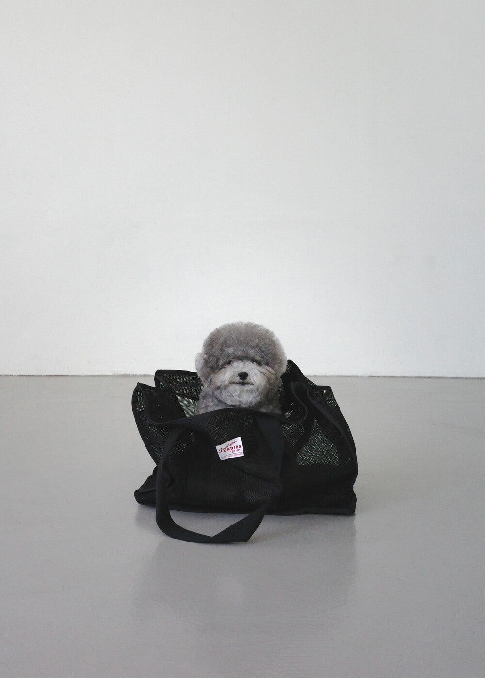 【予約】GO - TO MESH Flat Base
