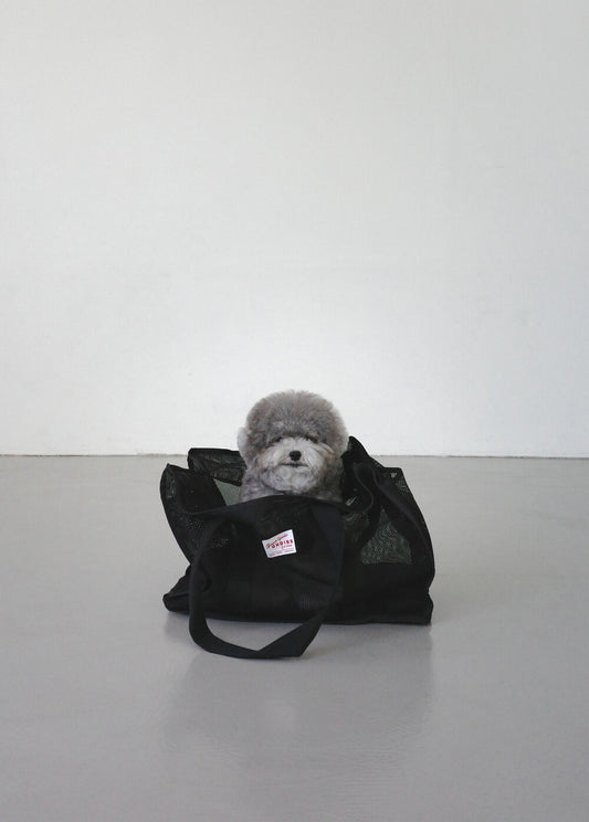 【予約】GO - TO MESH Flat Base