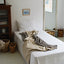 【予約】Grandma Blanket