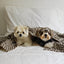 【予約】Grandma Blanket