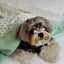 【予約】Grandma Blanket