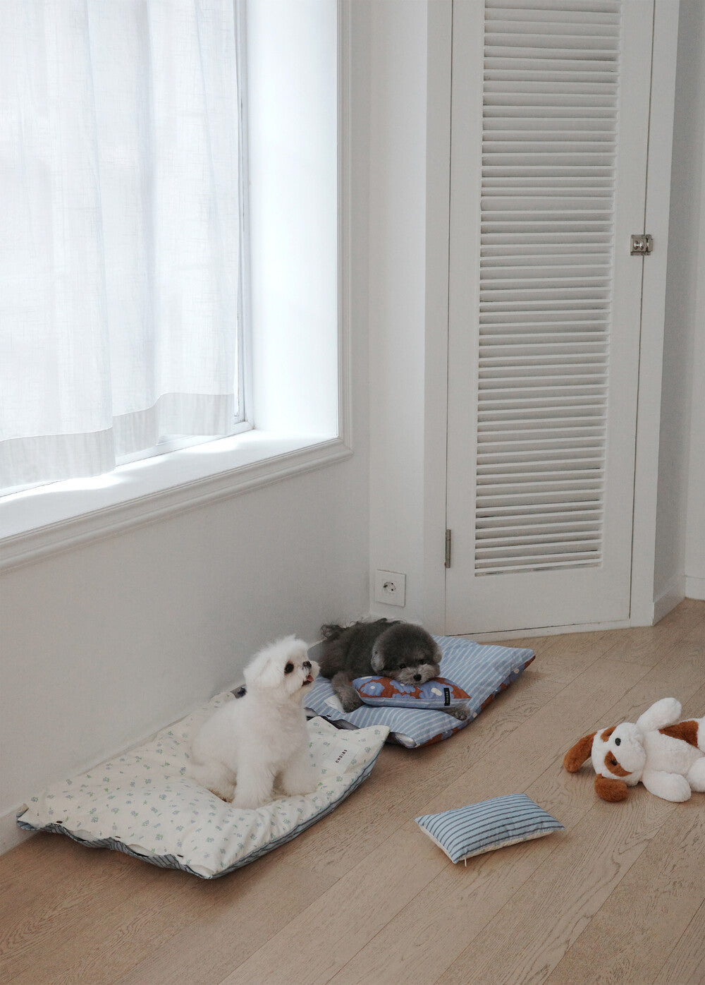 【予約】Homey Warmy Topper（※Pillow別売り）