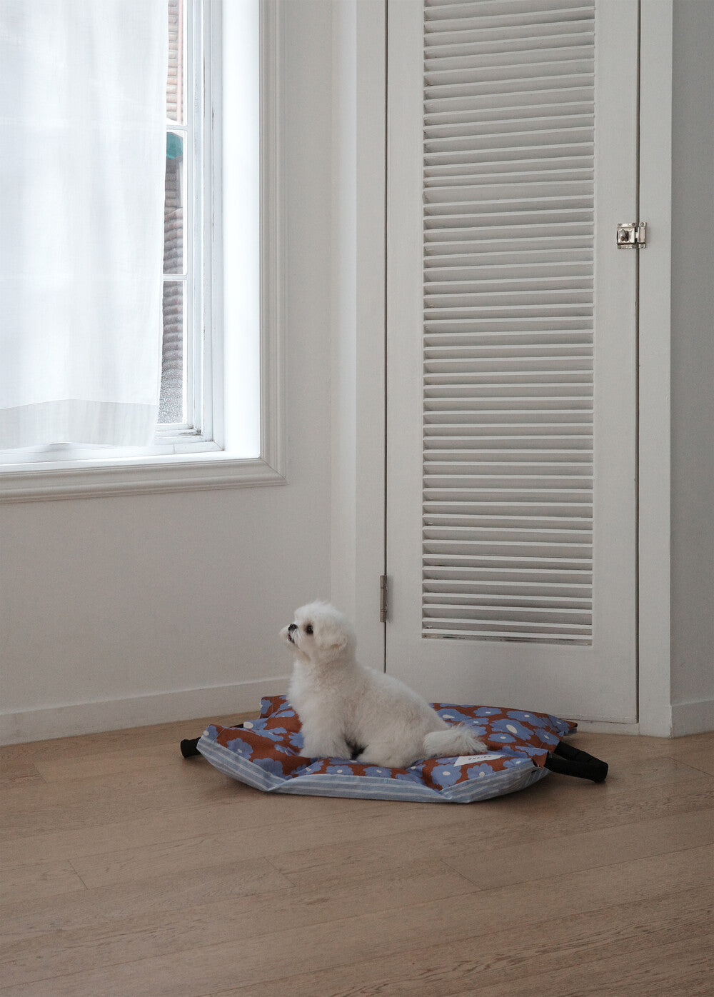 【予約】Homey Warmy Topper（※Pillow別売り）