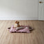 【予約】Mini Square Pillow