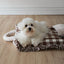 【予約】Homey Warmy Topper（※Pillow別売り）