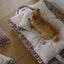 【予約】Homey Warmy Topper（※Pillow別売り）