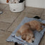 【予約】Layer Pillow（単品購入不可）