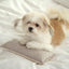 【予約】Mini Square Pillow