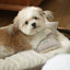 【予約】Mini Square Pillow