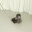 【予約】capeness no.10 leash