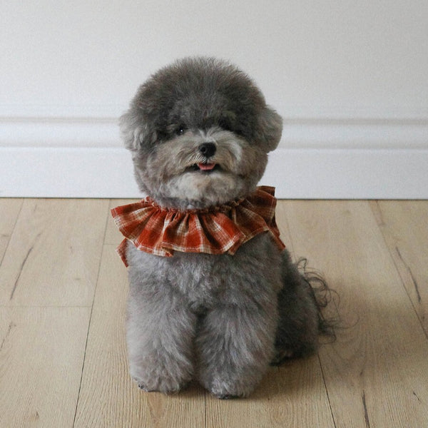 【一部即納】capeness no.11 _ Brick Red