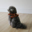 【予約】capeness no.11 leash _ Brick Red