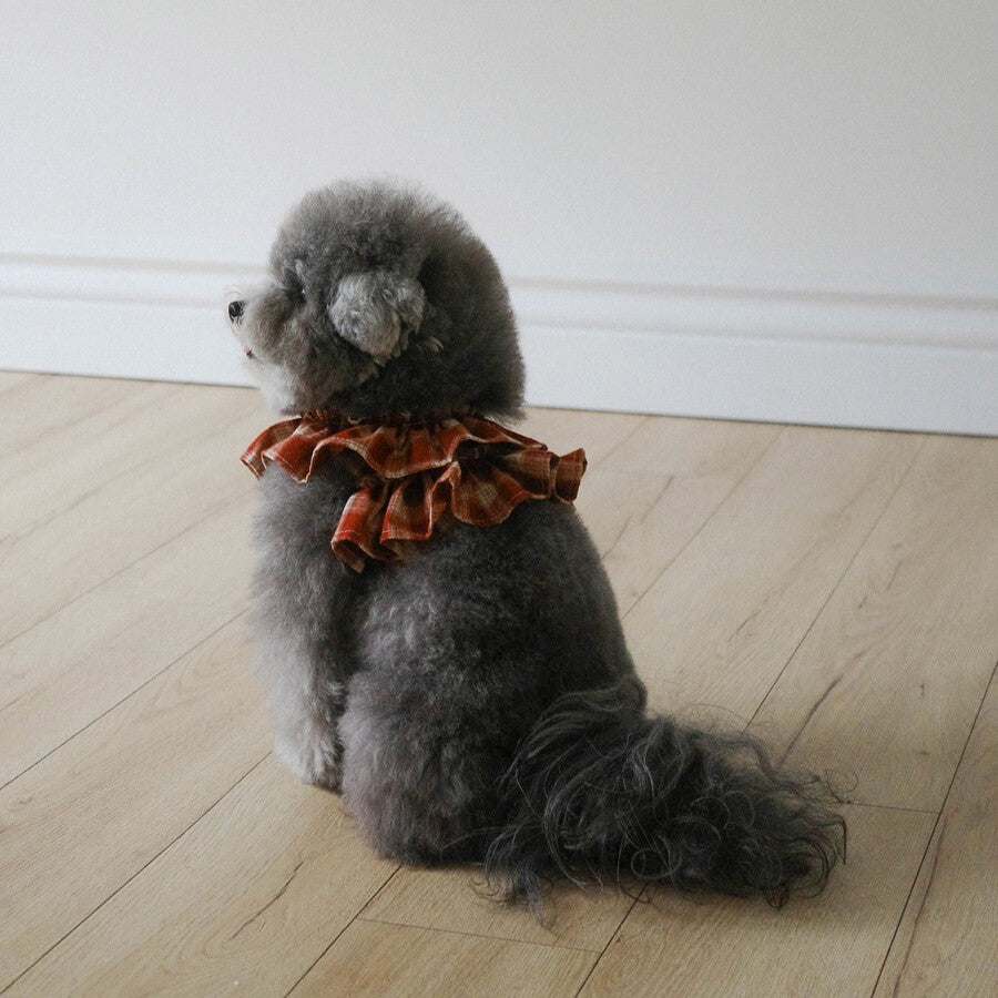 【予約】capeness no.11 leash _ Brick Red
