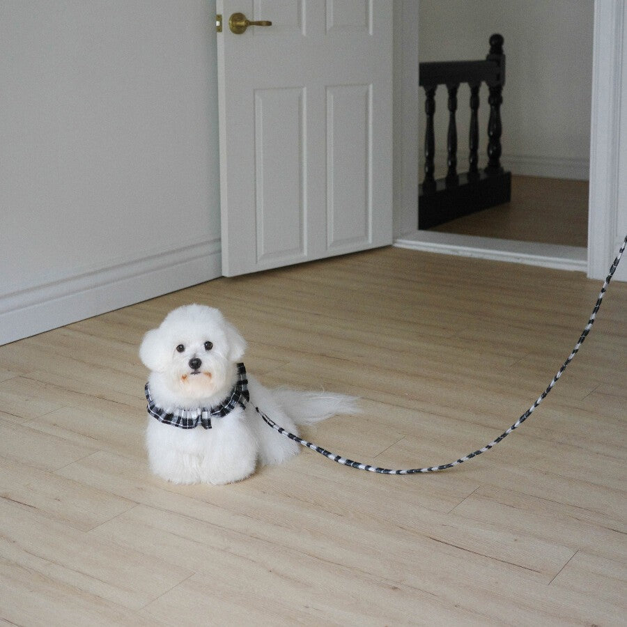 【即納】capeness no.12 leash _ Black check