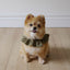 【一部即納】capeness no.14 _ Olive Khaki