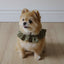 【一部即納】capeness no.14 _ Olive Khaki