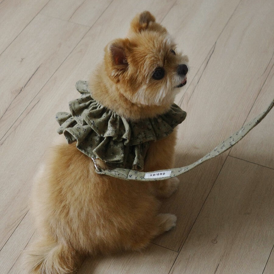 【一部即納】capeness no.14 _ Olive Khaki