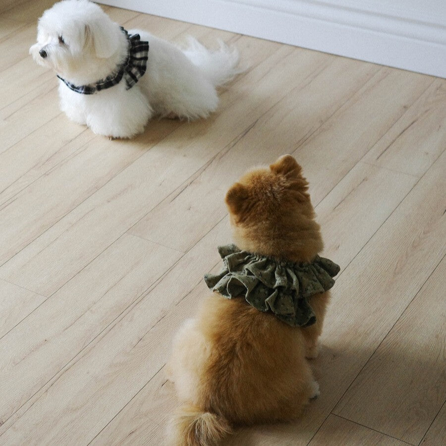 【一部即納】capeness no.14 _ Olive Khaki