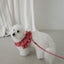 【予約】capeness no.15 leash _ Red check