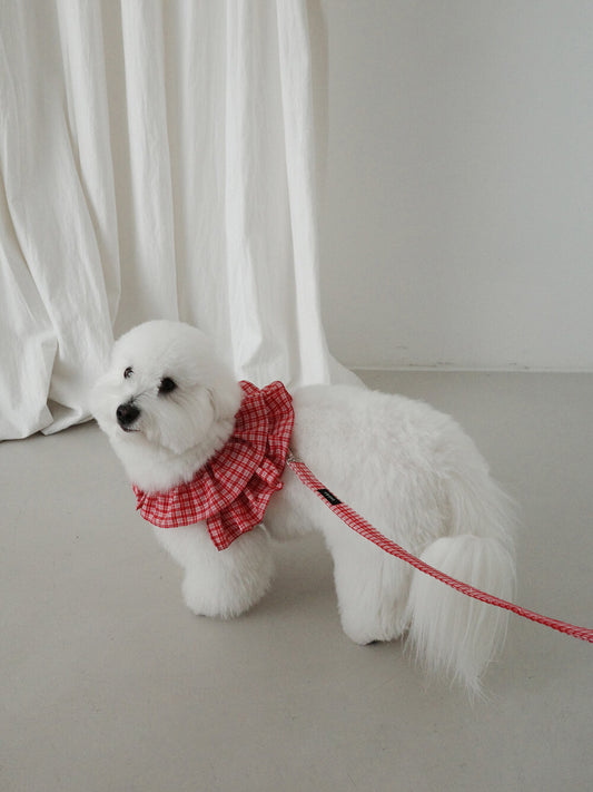 【予約】capeness no.15 leash _ Red check