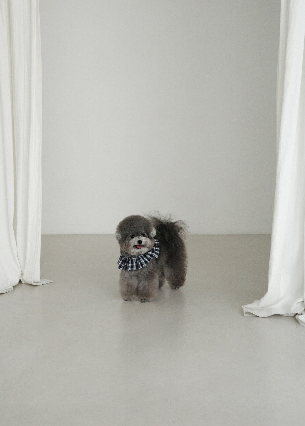 【予約】capeness no.16 _ Navy check