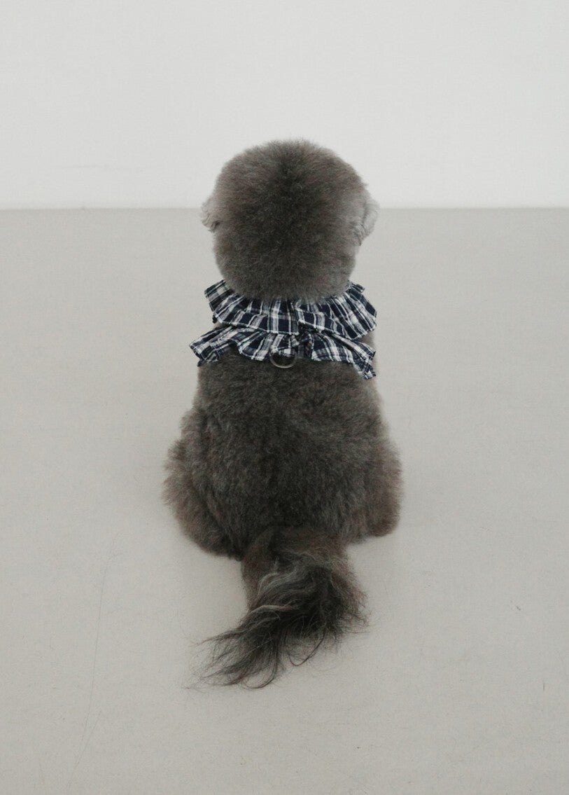 【予約】capeness no.16 _ Navy check