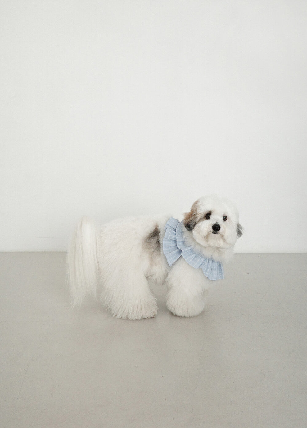 【一部即納】capeness no.17 _ Babyblue check