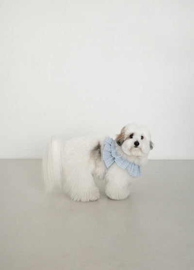 【一部即納】capeness no.17 _ Babyblue check