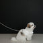 【予約】capeness no.18 leash _ White