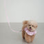 【予約】CAPENESS NO.19 _ PINK STRIPE