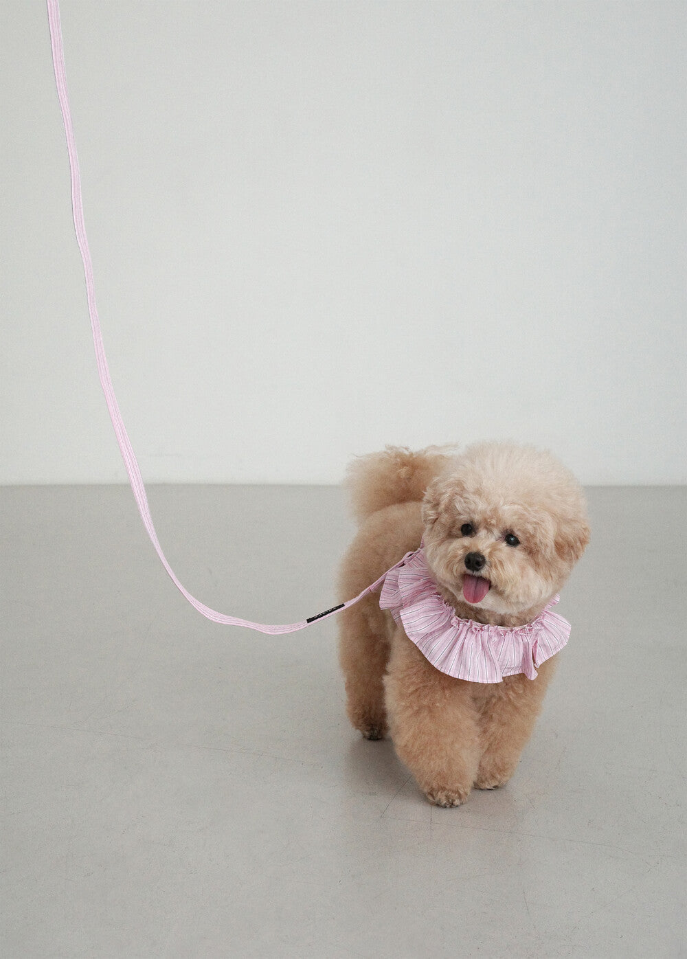 【予約】CAPENESS NO.19 _ PINK STRIPE