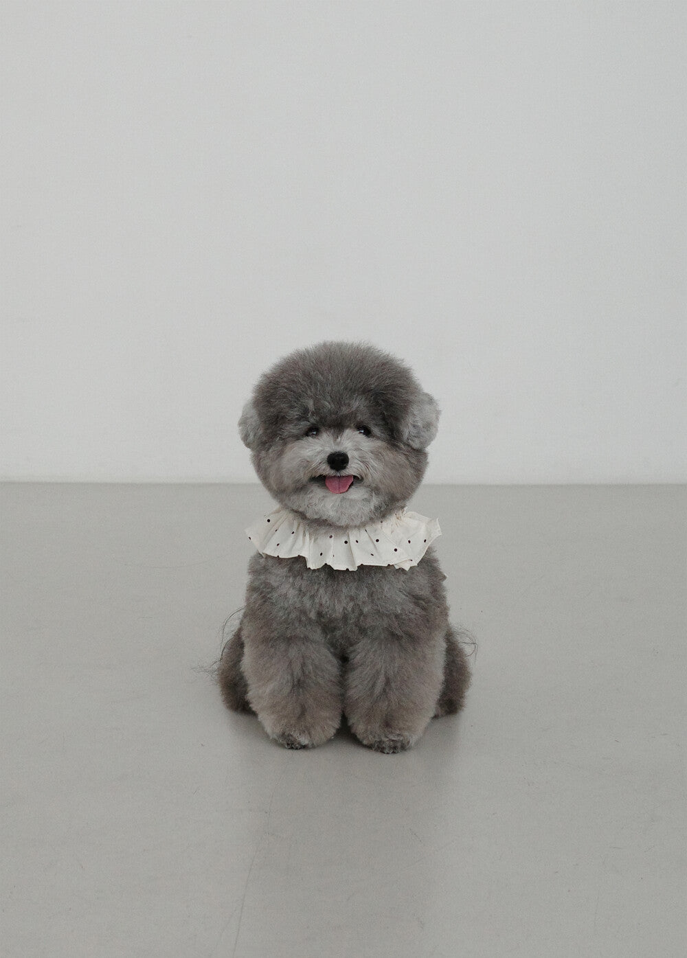 【予約】CAPENESS NO.20 _ MINI DOT