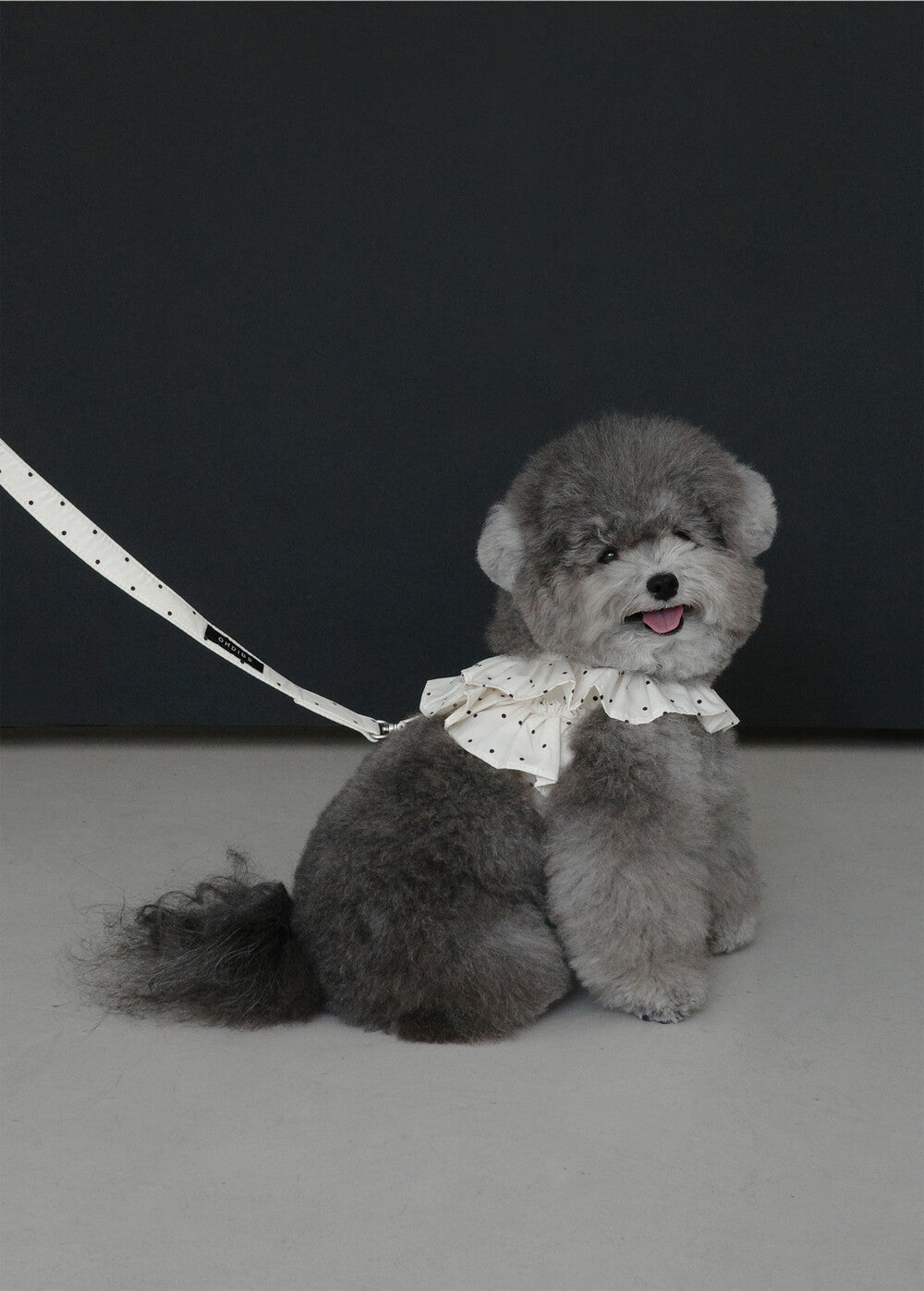 【予約】CAPENESS NO.20 _ MINI DOT