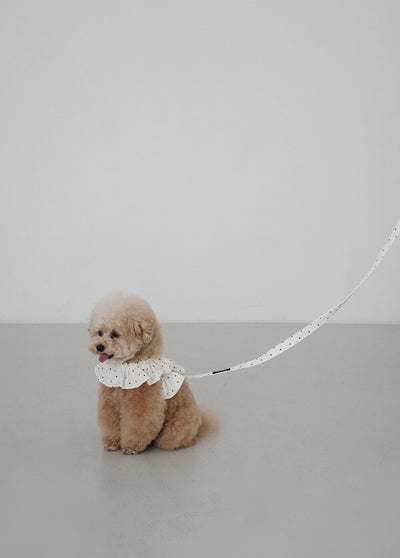 【予約（6月下旬入荷・発送分）】CAPENESS NO.20 leash _ MINI DOT
