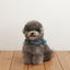【予約】CAPENESS NO.21 _ vintage denim