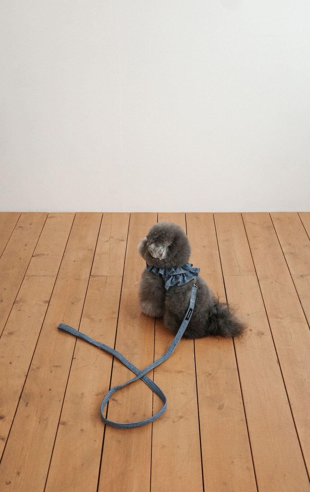 【予約】CAPENESS NO.21 _ vintage denim