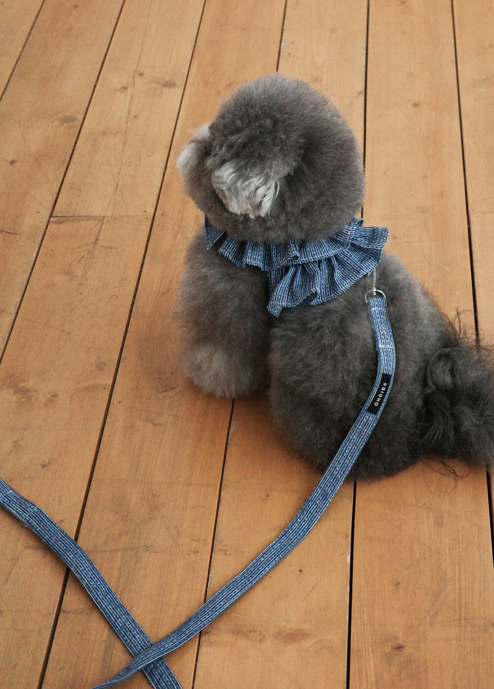 【予約】CAPENESS NO.21 _ vintage denim
