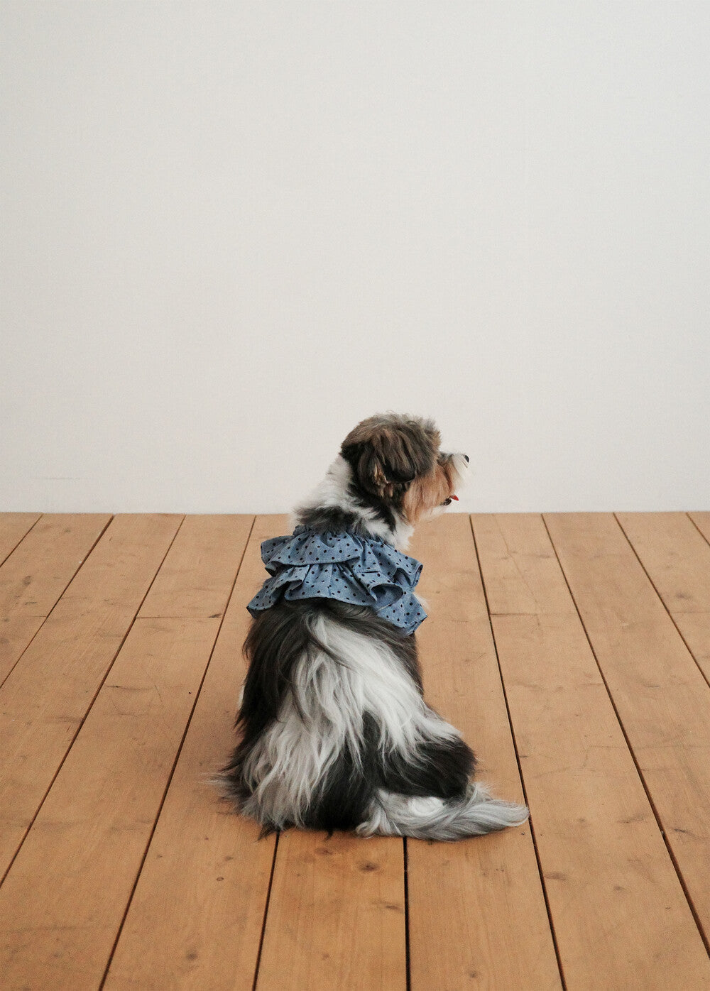 【予約】CAPENESS NO.22 _ dot denim