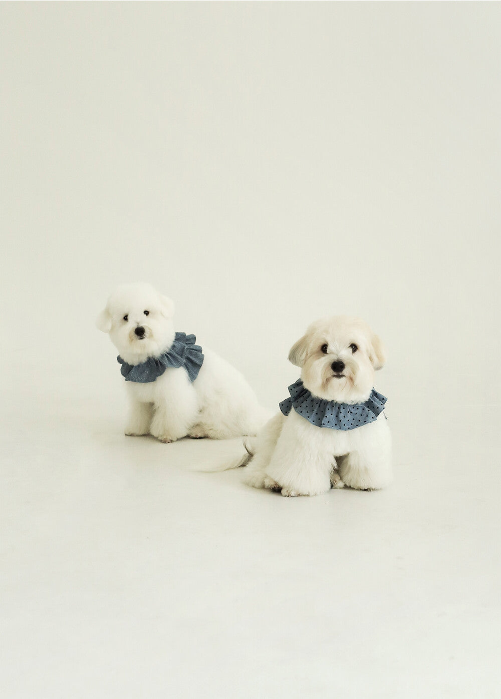 【予約】CAPENESS NO.21 _ vintage denim