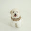【予約】CAPENESS NO.23 _ Beige