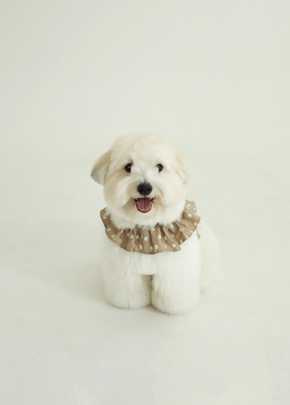 【予約】CAPENESS NO.23 _ Beige