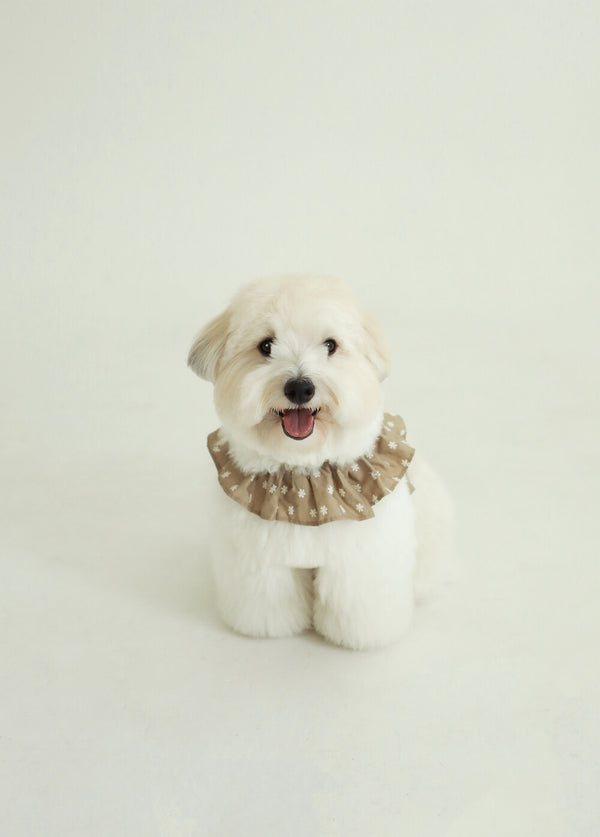 【予約】CAPENESS NO.23 _ Beige