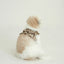 【予約】CAPENESS NO.23 _ Beige