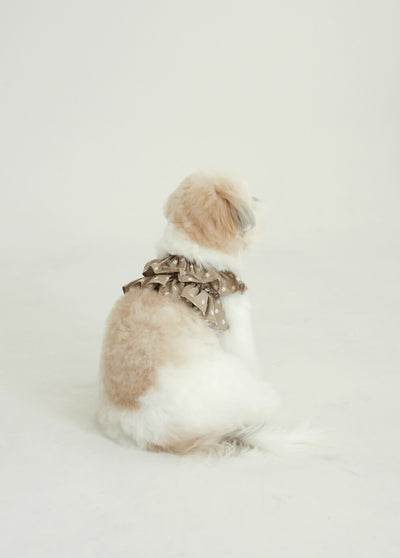 【予約】CAPENESS NO.23 _ Beige
