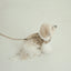【予約】CAPENESS NO.23 _ Beige