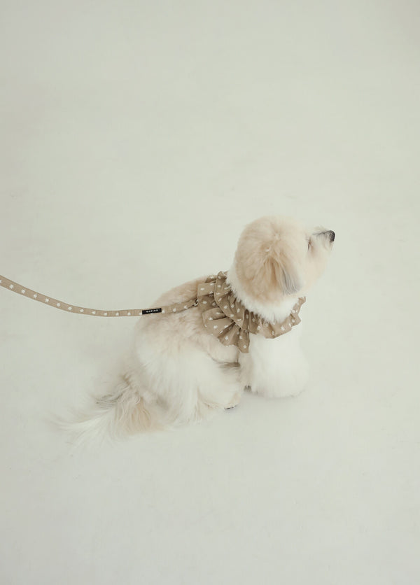 【予約】CAPENESS NO.23 leash _ Beige