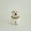 【予約】CAPENESS NO.23 _ Beige