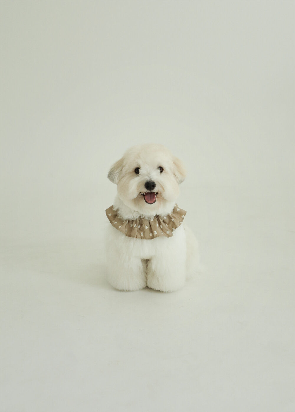 【予約】CAPENESS NO.23 _ Beige