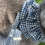 【予約】capeness no.4 leash
