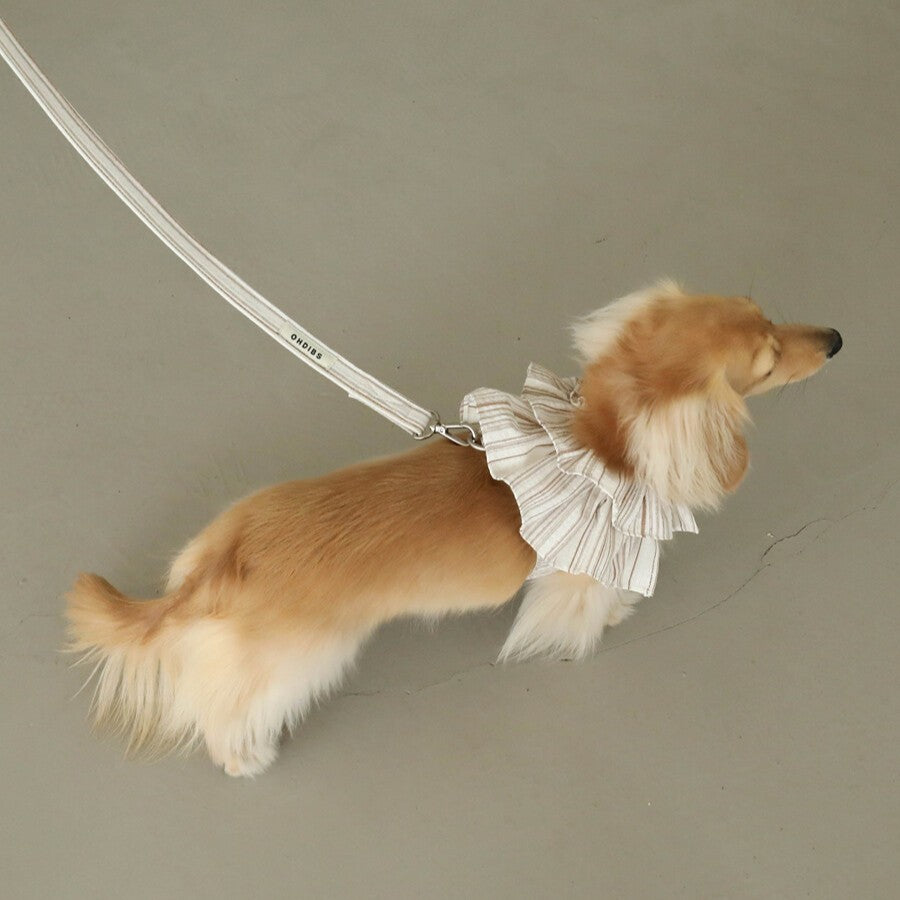 【予約】capeness no.6 leash